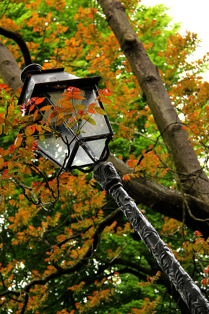 Un lampadaire dans un parc