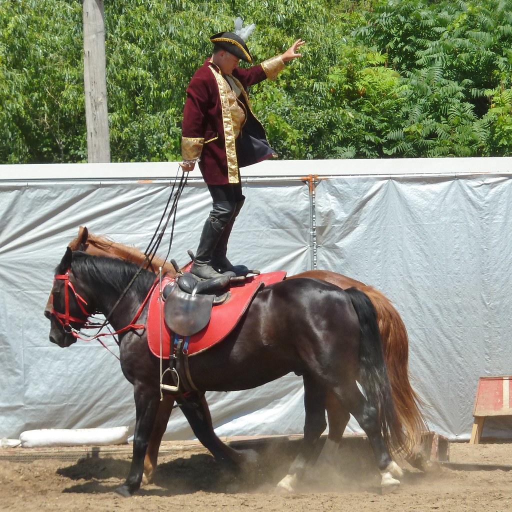 Wheaton, IL, DuPage County Fair, Horse Show Trick Rider