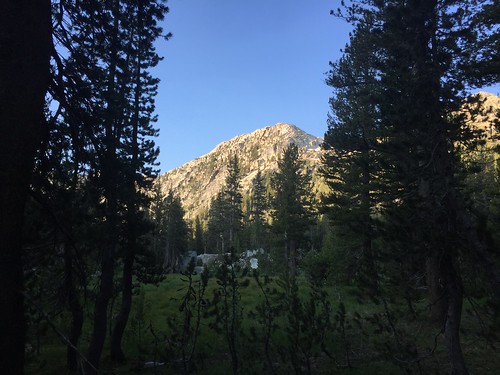 PCT: Day 78