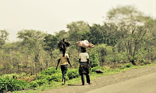 Ladies carrying firewood, Centre region, Cameroon | by Jasmine Halki