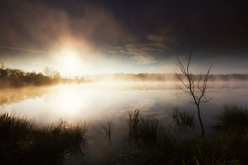 mist fog pond lac filter lee brouillard crepuscule brume étang ain filtre dombes onirique etehreal éthéré certines