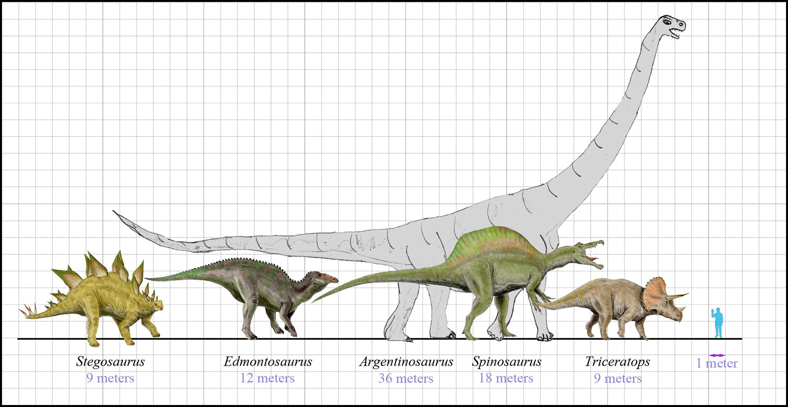 Dinosaurs Size, Comparison of Dinosaurs size (scale diagram…