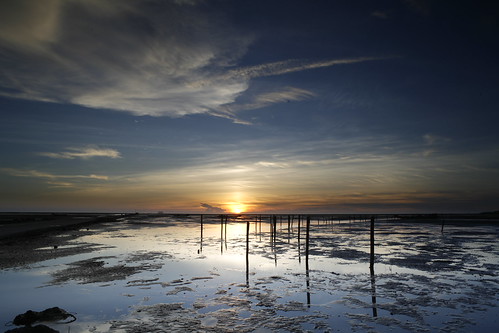 芳苑夕照 sunset in central Taiwan by lucas620817, sunset cloud taiwan 5d 芳苑 topcor25mm