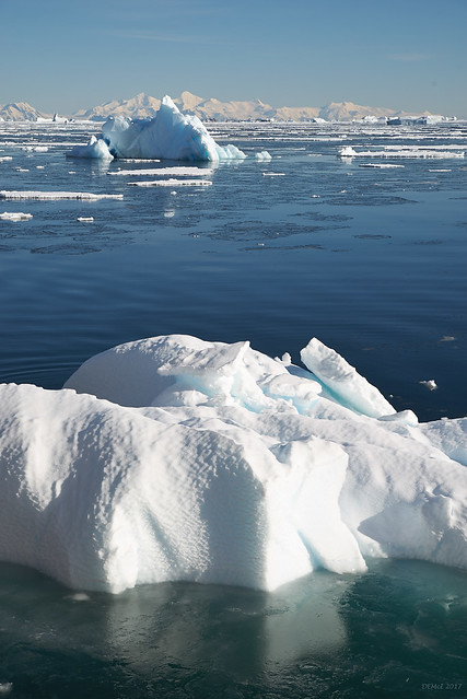Ice in Marguerite Bay