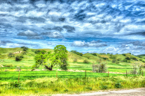 canon24105 figueoramountain 5dmkiii geotagged hdr project365 santaynez california unitedstates exif:aperture=ƒ80 geo:country=unitedstates camera:make=canon geo:state=california geo:city=santaynez geo:location=41014109figueroamountainroad exif:isospeed=200 exif:focallength=47mm exif:model=canoneos5dmarkiii exif:lens=ef24105mmf4lisusm camera:model=canoneos5dmarkiii geo:lon=12010780333333 geo:lat=34718128333333 exif:make=canon project365032617