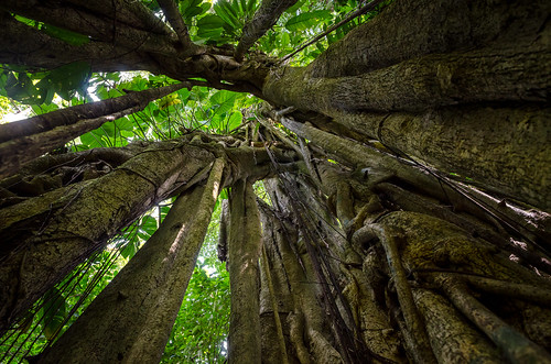 costarica puntarenas