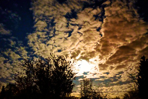 trees sunset sky moon tree nature weather night clouds landscape europe fuji fujifilm demark x100s