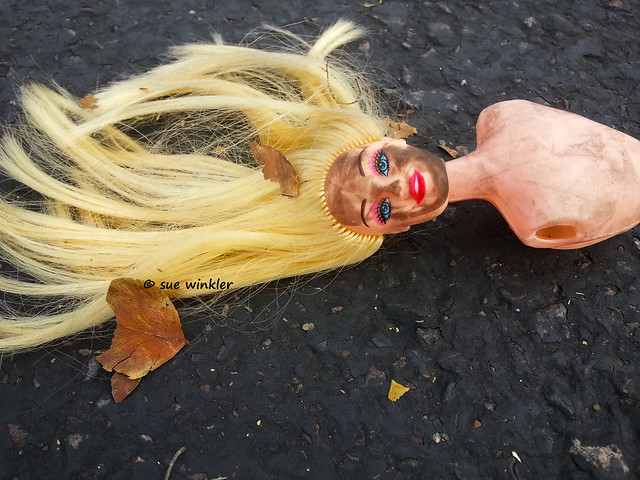 Barbie Road Kill