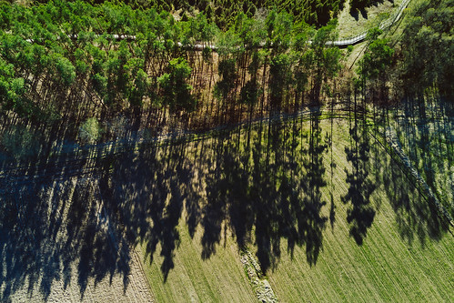 arlaviškės kadagiųslėnis kaunas kaunomarios kaunorajonas spring juniper valley lietuva dronas 2017 europe djieurope baltic lithuania drone aerial aerialphotography dji djimavicpro mavic pro mavicpro birdseye landscape djiglobal