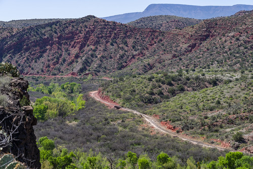 arizona coconinonationalforest fr131 forestservice pentaxk1 redrockrangerdistrict sycamorecanyonroad usfs verderiver desert forest outdoors clarkdale unitedstates