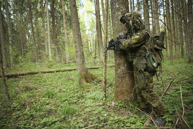 Estonian Army