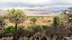 View from Ol Mesera Tented Camp, Rift Valley, Tanzania