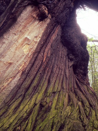 Christchurch Park, Ipswich | by FilmsForWebsites