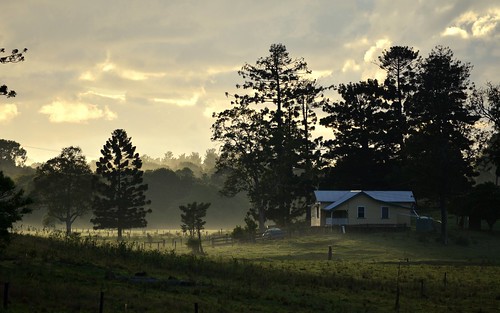 morning trees light shadow house mist clouds landscape countryside earlymorning australia shade nsw woodlawn ruralaustralia northernrivers morninglandscape hooppines wilsonsrivervalley