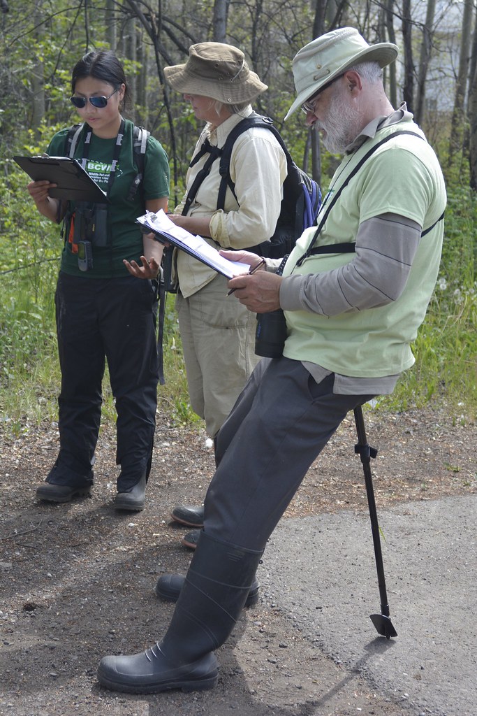 Working on the Wetlandkeeper's survey after visiting the site