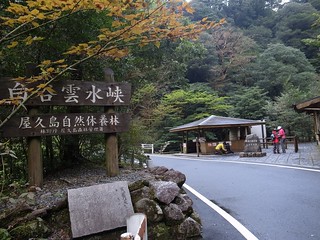 ShirataniUnsui-kyo, 白谷雲水峡, Yakushima | by Akihito Fujii