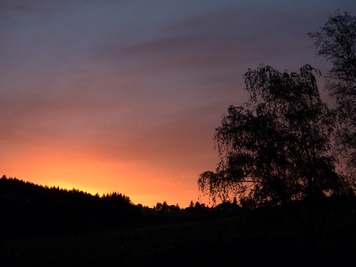 sunset silhouette oregon landscape skies yamhillcounty dundeehillsviticulturearea