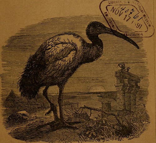 Paternoster