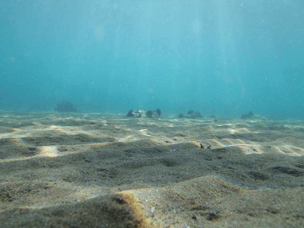 Underwater Sea Floor Sand Underwater Dimitris Siskopoulos Flickr