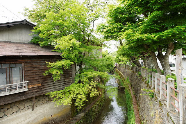 20140516-33-Trees along bank of river in Takayama.jpg