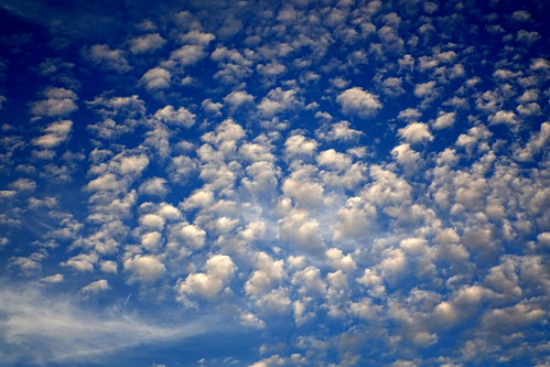 Little Fluffy Clouds. | by elam2010