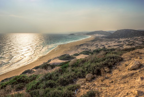 wood sunset sky beach water strand sand wasser sonnenuntergang cyprus himmel wolken holz baum hdr goldenbeach