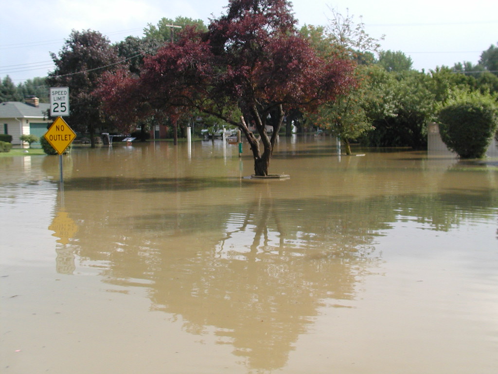 Flood 022 | OLYMPUS DIGITAL CAMERA | Sarah Stubbs | Flickr