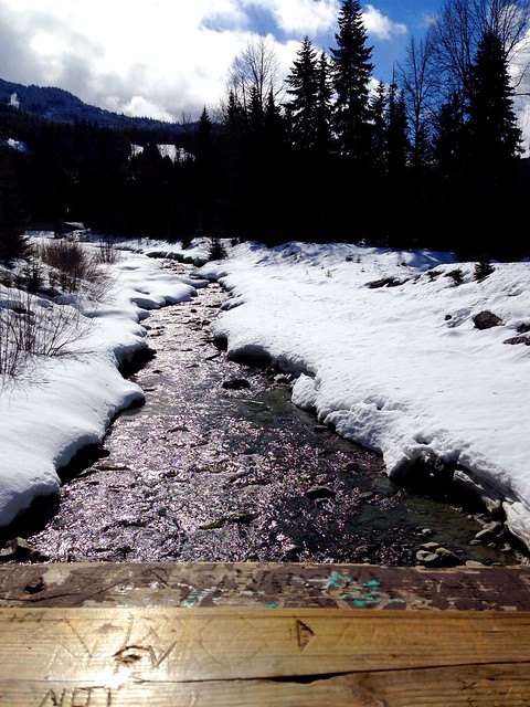 #earthday shot #nature #whistler #canada #snow #stream #sunny