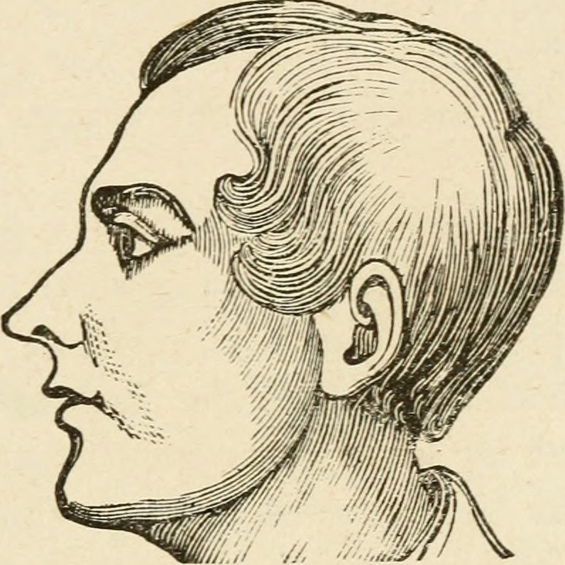Image from page 206 of "Brain and mind; or, Mental science considered in accordance withthe principles of phrenology, and in relation to modern physiology" (1882)