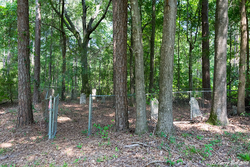 DSC_0482.jpg by SouthernPhotos@outlook.com, unitedstates alabama pineapple larrybell wilcoxcounty larebel christianchurchcemetery larebell