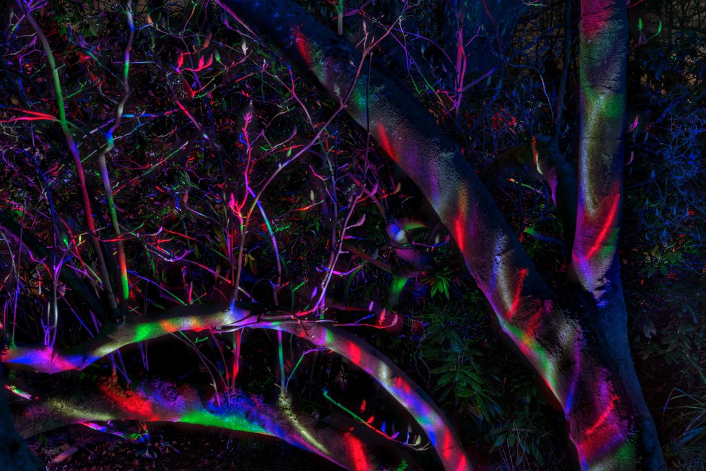 Baum auf LSD