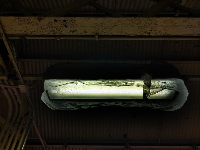 Mystery plastic bag hangs around light at Randolph/Wabash CTA train station