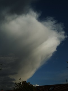 The Big Cloud 003