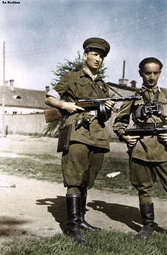 soviet Partisans | by Za Rodinu