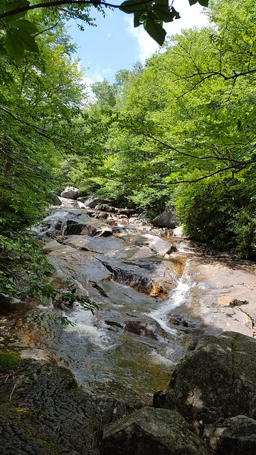 Creek flowing at Grayson Highlands State Park - Bob D