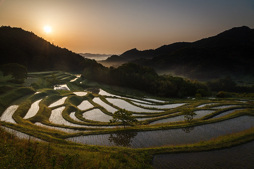 morning japan sunrise rice chiba 日本 riceterrace 千葉県 鴨川市