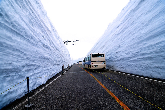 Japan 日本 .  Mount Tate 立山雪壁  DSC_1845