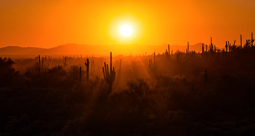 arizona sunset landscape desert sonoran southwest nature sony alpha a99 superstition mountains wilderness cactus saguaro dust