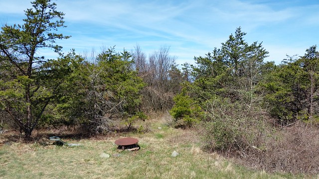 Family Picnic Site of what use to be the Royal Orchard