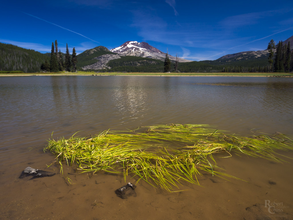 Sparks Lake Shallows