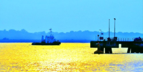 _DSC0921 | by Mita09