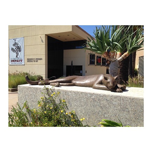 Did you see the cougar on campus? #art #mountainlion #weisman #gwynnmurrill #sculpture