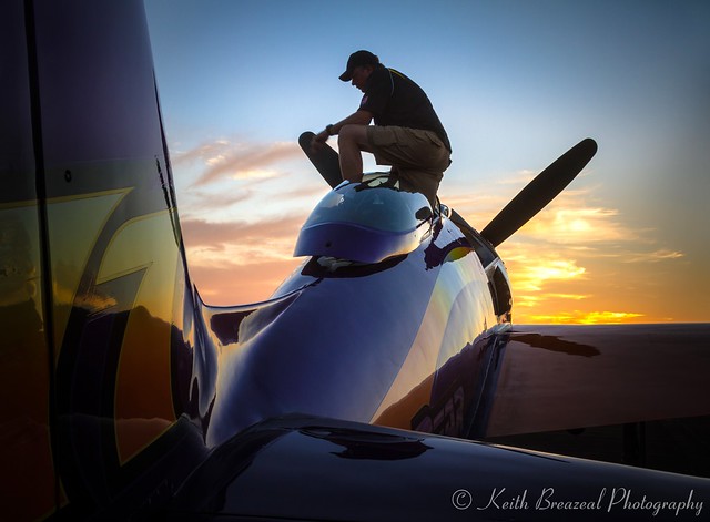 Rare Bear Sunset Reno 2014 Sat 7432 © Keith Breazeal