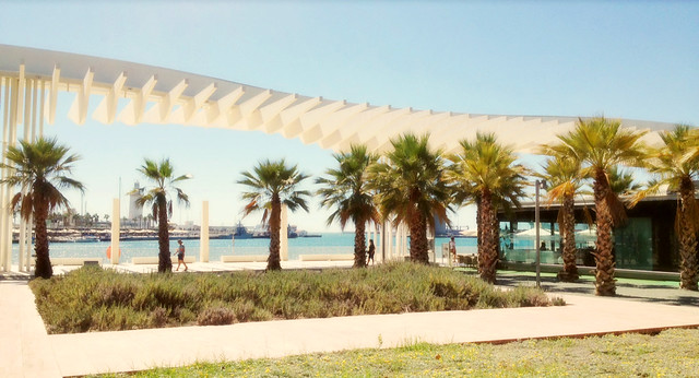 Malaga Port .. The Palm Garden of Surprises