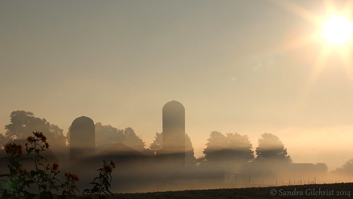 morning fog sunrise farm foggy earlymorning durhamregion scugog sandragilchrist