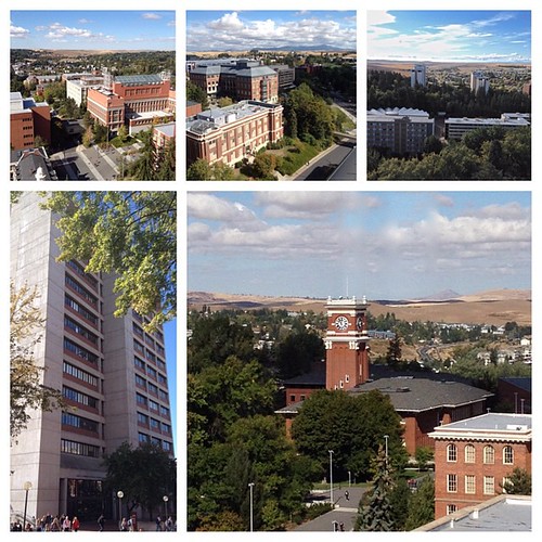 Views of @wsupullman & the #palouse as seen from Webster Physical Sciences Building this morning. #WSU #GoCougs