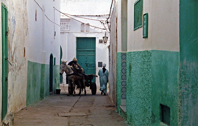 a narrow street in Asilah, Morocco
