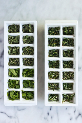 How-to Preserve and Freeze Fresh Herbs in Olive Oil | by Tasty Yummies