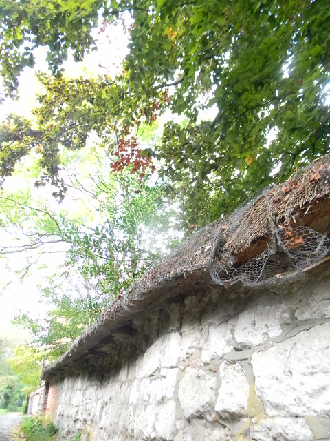 Thatched wall, Blewbury Cholsey to Goring