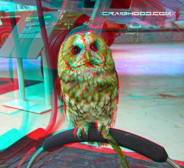 Owl wondering how my logo is floating in mid air @ the Wheels and wings show (3d view with red/blue glasses)